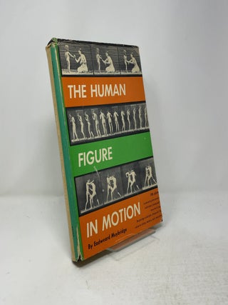 The Human Figure in Motion