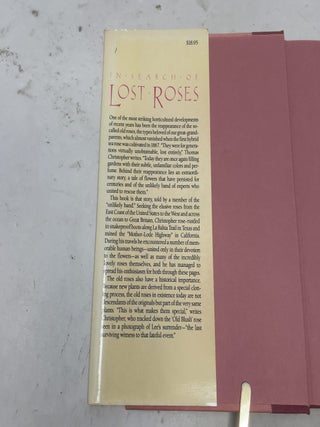 In Search of Lost Roses